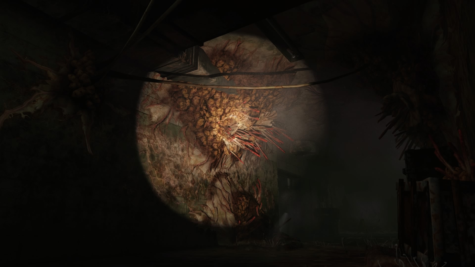 The Last of Us™ Remastered_20191128182310